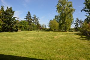 Belle propriété mixte Montauban NordA.B.I - Agence Bourdarios Immobilier - A.B.I  Agence Bourdarios Immobilier-14