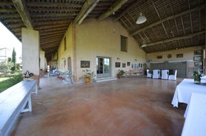 Belle propriété mixte Montauban NordA.B.I - Agence Bourdarios Immobilier - A.B.I  Agence Bourdarios Immobilier-7