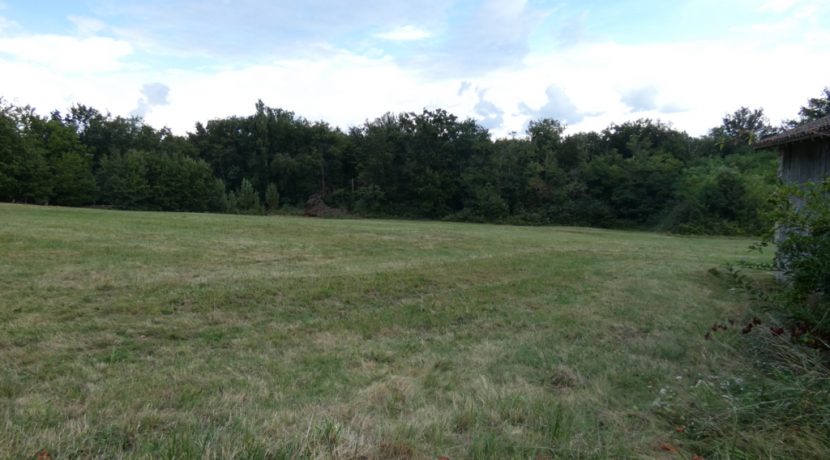 Fermette avec dépendances sur 3 hectaresA.B.I - Agence Bourdarios Immobilier - A.B.I  Agence Bourdarios Immobilier-8
