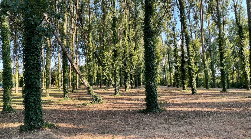 au calme proche du TarnA.B.I - Agence Bourdarios Immobilier - A.B.I  Agence Bourdarios Immobilier-1