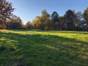 Terrain SAINT MARTIAL  5716 m2A.B.I - Agence Bourdarios Immobilier - A.B.I  Agence Bourdarios Immobilier-4