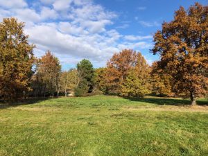 Terrain SAINT MARTIAL  5716 m2A.B.I - Agence Bourdarios Immobilier - A.B.I  Agence Bourdarios Immobilier-1