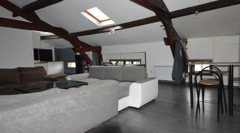 IMMEUBLE de 4 Apparts et 1 local professionnel  Quartier VillebourbonA.B.I - Agence Bourdarios Immobilier - A.B.I  Agence Bourdarios Immobilier-3