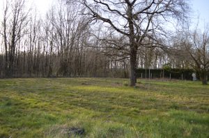 Terrain à Bâtir  non viabilisé10 minutes Montauban Nord 1250 m² arboréA.B.I - Agence Bourdarios Immobilier - A.B.I  Agence Bourdarios Immobilier-3