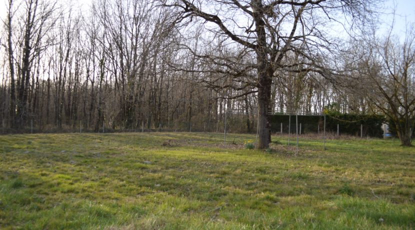 Terrain à Bâtir  non viabilisé10 minutes Montauban Nord 1250 m² arboréA.B.I - Agence Bourdarios Immobilier - A.B.I  Agence Bourdarios Immobilier-3