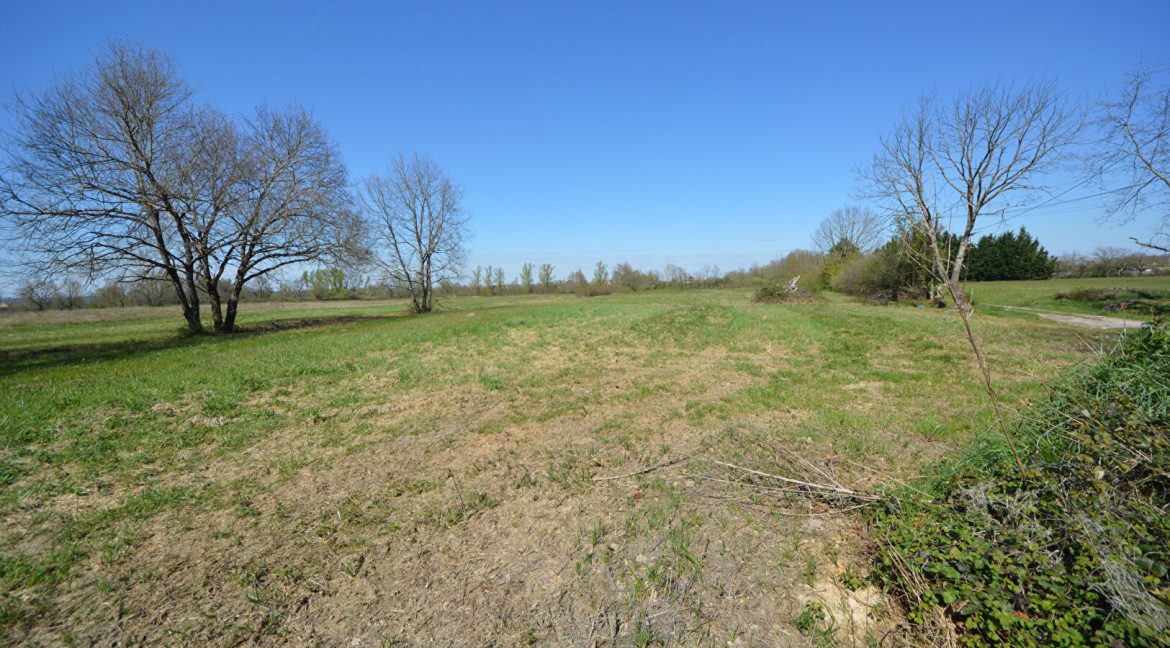 TERRAIN  Constructible de 1200 m² non viabilisé proche Montauban NordA.B.I - Agence Bourdarios Immobilier - A.B.I  Agence Bourdarios Immobilier-1