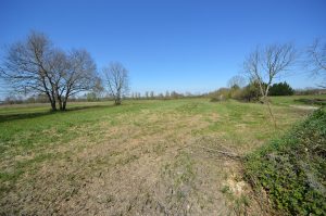 TERRAIN  Constructible de 1200 m² non viabilisé proche Montauban NordA.B.I - Agence Bourdarios Immobilier - A.B.I  Agence Bourdarios Immobilier-1
