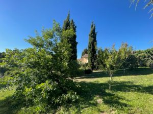 A 5mn du centre ville de moissacA.B.I - Agence Bourdarios Immobilier - A.B.I  Agence Bourdarios Immobilier-2
