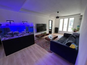 Appartement Montauban 3 pièce(s) 67 m2A.B.I - Agence Bourdarios Immobilier - A.B.I  Agence Bourdarios Immobilier-1