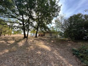 7 hectare terrainA.B.I - Agence Bourdarios Immobilier - A.B.I  Agence Bourdarios Immobilier-6