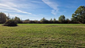 Terrain au calmeA.B.I - Agence Bourdarios Immobilier - A.B.I  Agence Bourdarios Immobilier-1