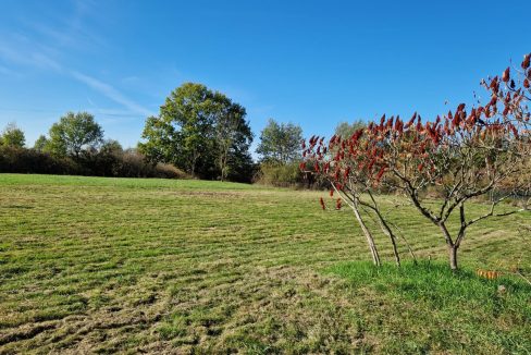 Terrain à la campagneA.B.I - Agence Bourdarios Immobilier - A.B.I  Agence Bourdarios Immobilier-1