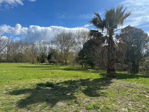 Montech - Canal Villa T4 107m² Jardin clos de 3000m²A.B.I - Agence Bourdarios Immobilier - A.B.I  Agence Bourdarios Immobilier-10
