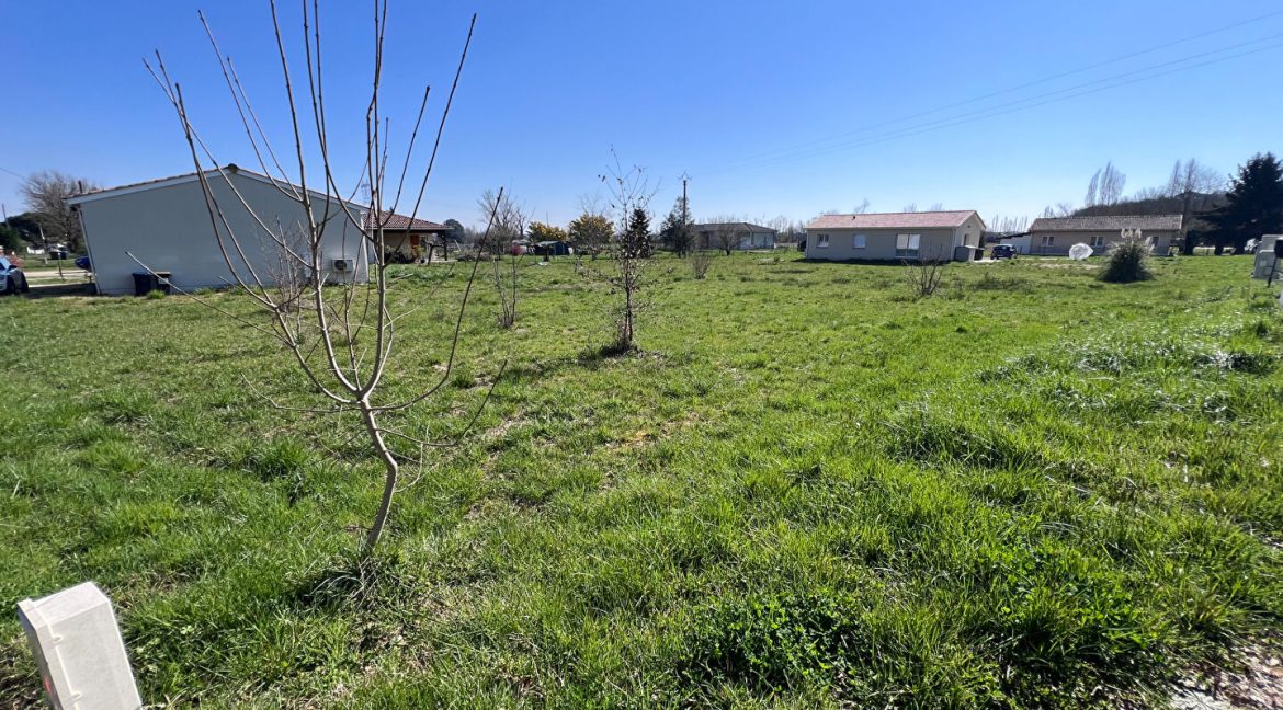 Terrains à Bâtir Albefeuille-Lagarde 1019m²A.B.I - Agence Bourdarios Immobilier - A.B.I  Agence Bourdarios Immobilier-2