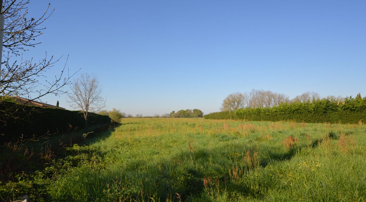 LOT de 3 Terrains à Bâtir entre Montauban et CastelsarassinA.B.I - Agence Bourdarios Immobilier - A.B.I  Agence Bourdarios Immobilier-2