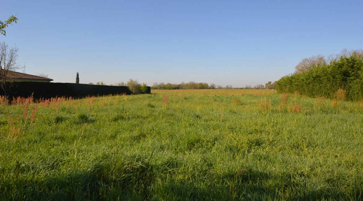 LOT de 3 Terrains à Bâtir entre Montauban et CastelsarassinA.B.I - Agence Bourdarios Immobilier - A.B.I  Agence Bourdarios Immobilier-1