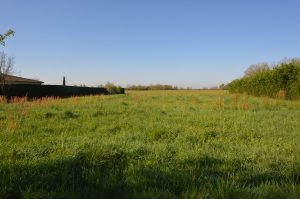 LOT de 3 Terrains à Bâtir entre Montauban et CastelsarassinA.B.I - Agence Bourdarios Immobilier - A.B.I  Agence Bourdarios Immobilier-1