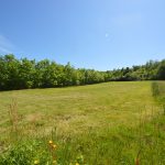 Montauban Est Terrain à Bâtir de 1017 m²A.B.I - Agence Bourdarios Immobilier - A.B.I  Agence Bourdarios Immobilier-1