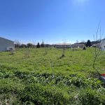 Terrains à Bâtir Albefeuille-Lagarde 1019m²A.B.I - Agence Bourdarios Immobilier - A.B.I  Agence Bourdarios Immobilier-1