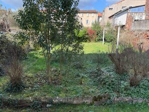 Maison Jardin garage au coeur de VillebourbonA.B.I - Agence Bourdarios Immobilier - A.B.I  Agence Bourdarios Immobilier-8