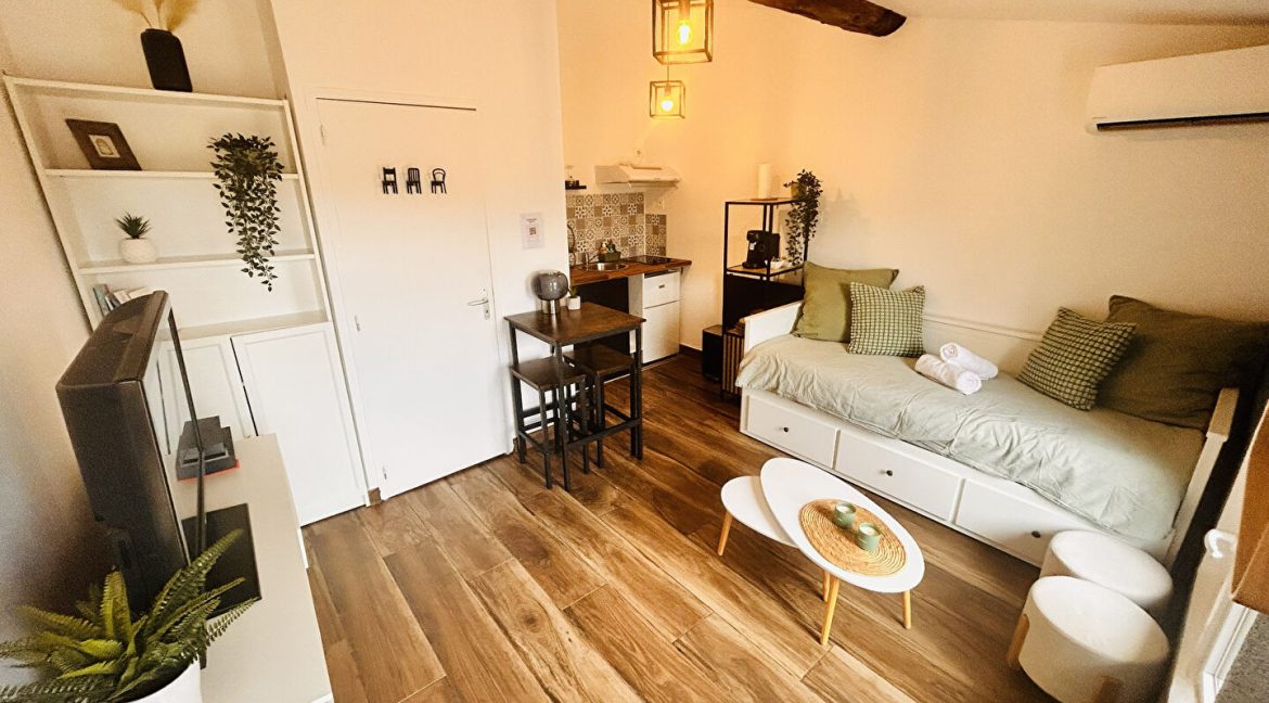Studio Terrasse à Montauban Centre-ville16 m2A.B.I - Agence Bourdarios Immobilier - A.B.I Agence Bourdarios Immobilier-1